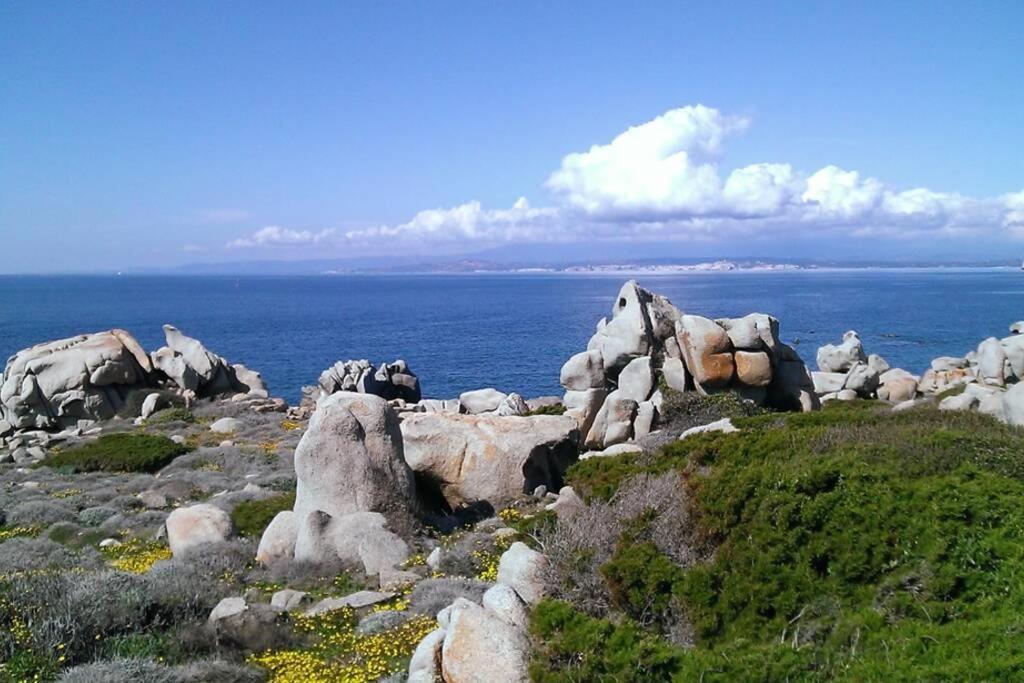 Una Splendida Terrazza Sul Mare Santa Teresa Gallura Buitenkant foto